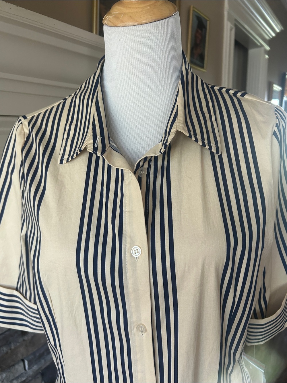 Tahari Cream and Navy Vertical Stripe Button-Up Dress